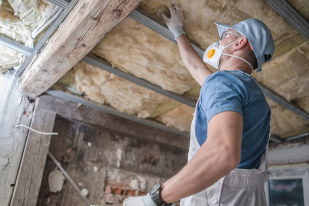 Best Eco-Friendly Insulation in Point Lookout, NY